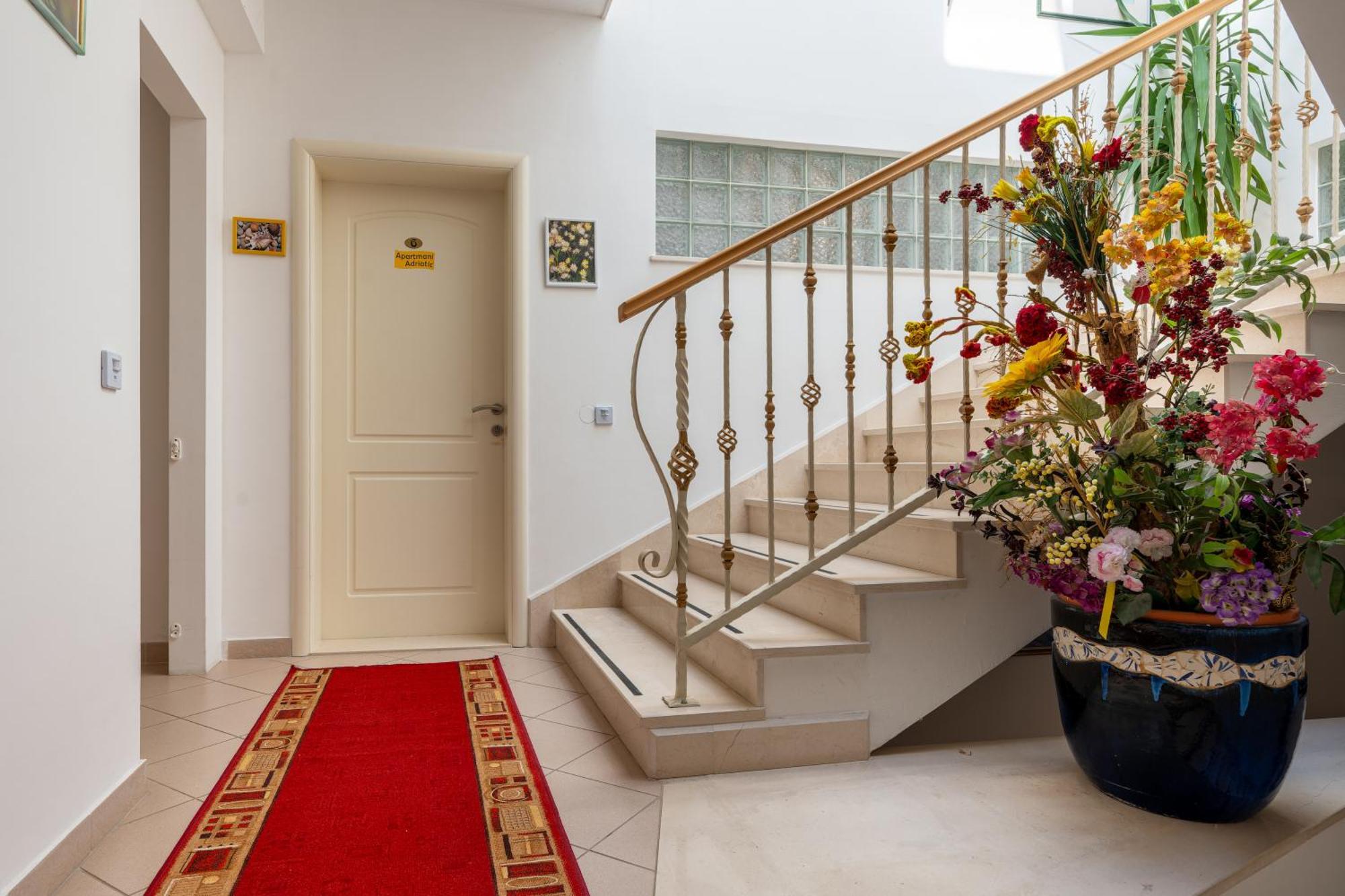 Adriatic Apartment ネウム エクステリア 写真