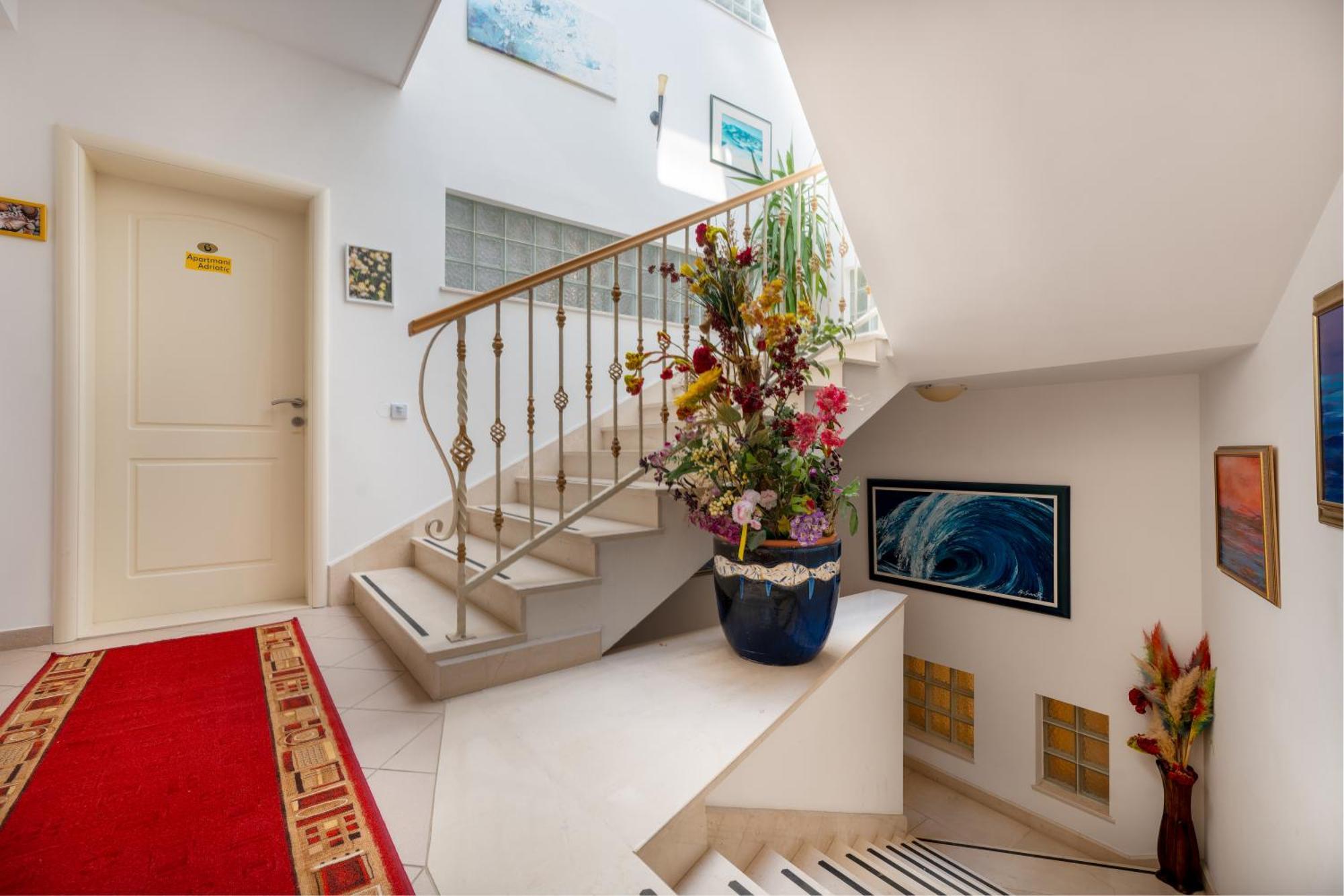 Adriatic Apartment ネウム エクステリア 写真